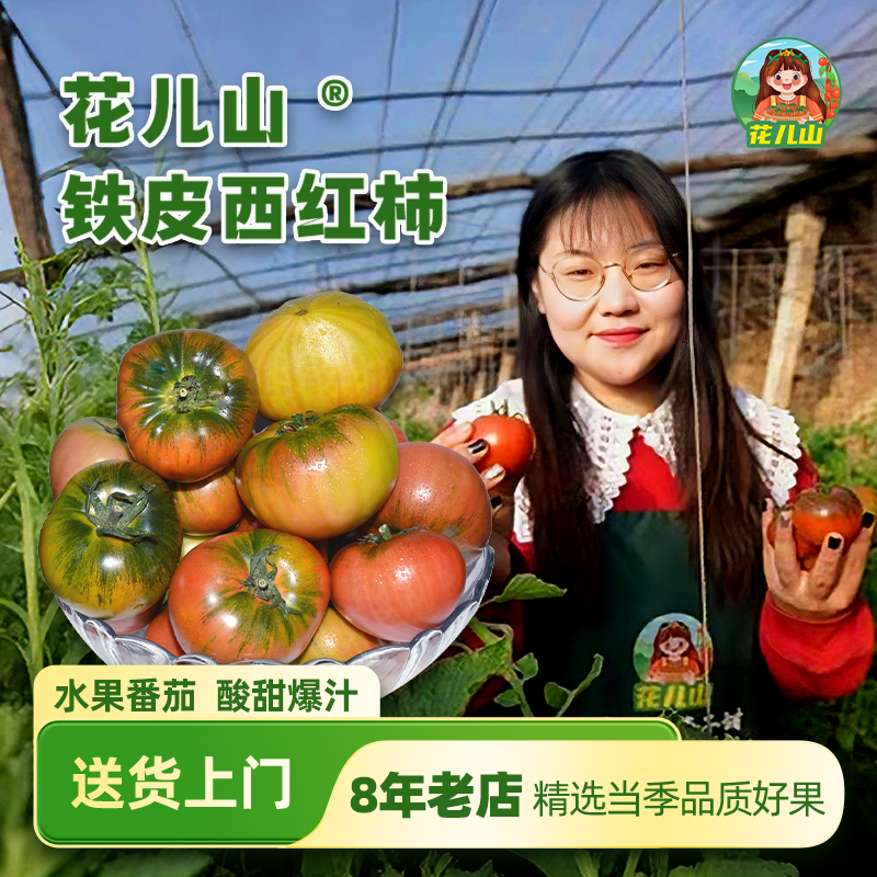 【铁皮柿子 甄选果径】正宗清爽碱地柿子草莓番茄酸甜浓郁东北特产