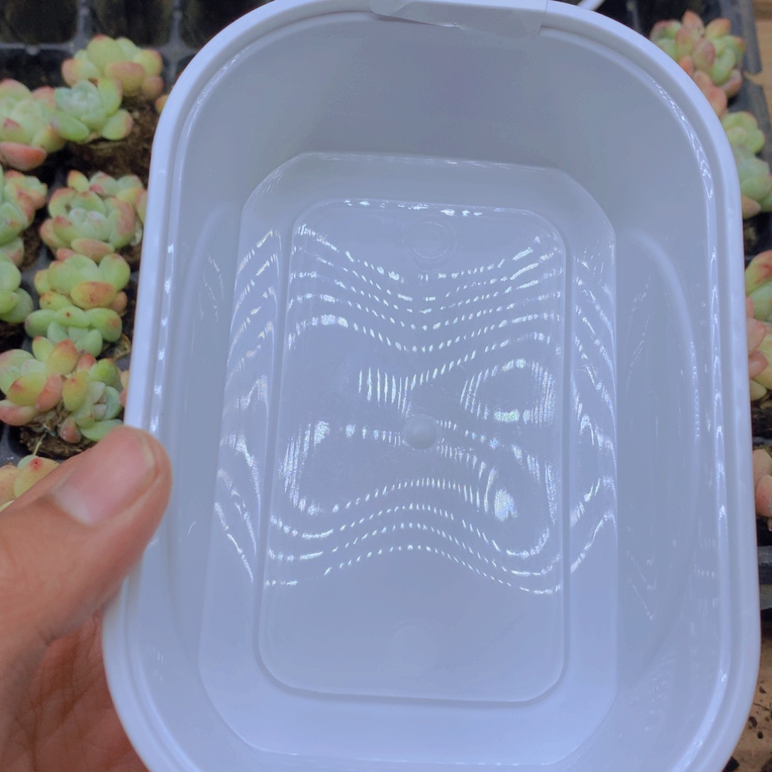 开播福利许愿款025