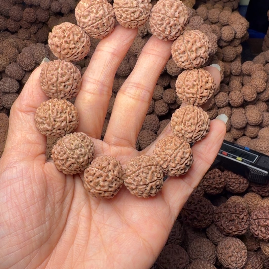 金刚菩提手串8瓣卡20尺，98号