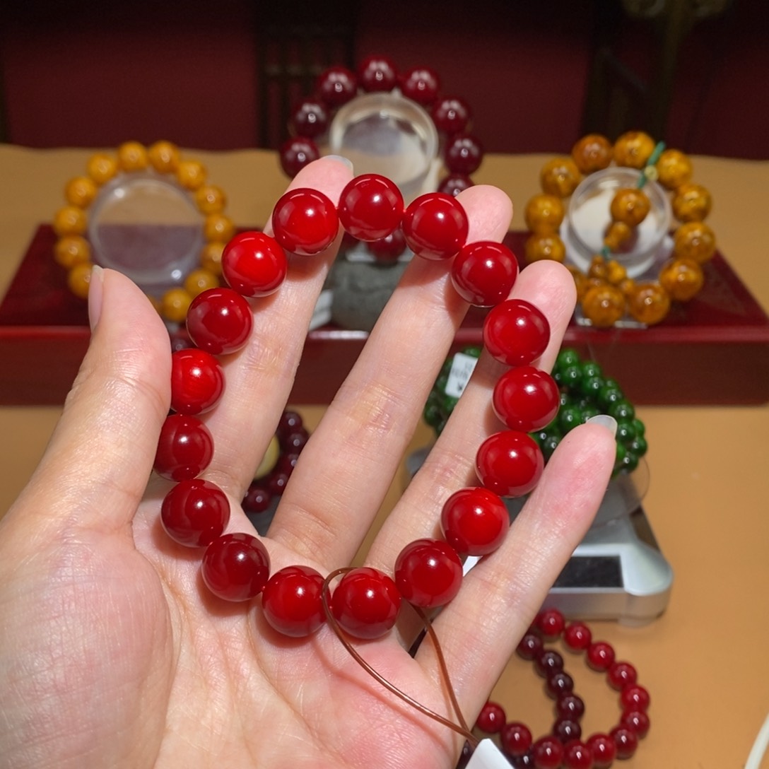 贝壳杉1.2帝王血龙木