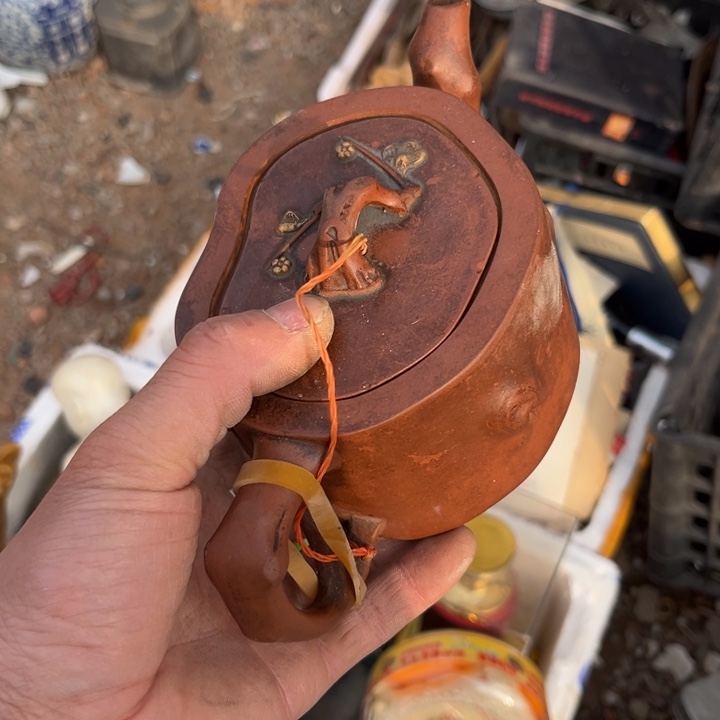 七***安杂色豆（科檀/科特迪瓦檀木）