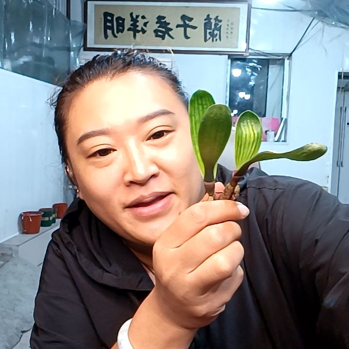 十月姐39佛光两花。