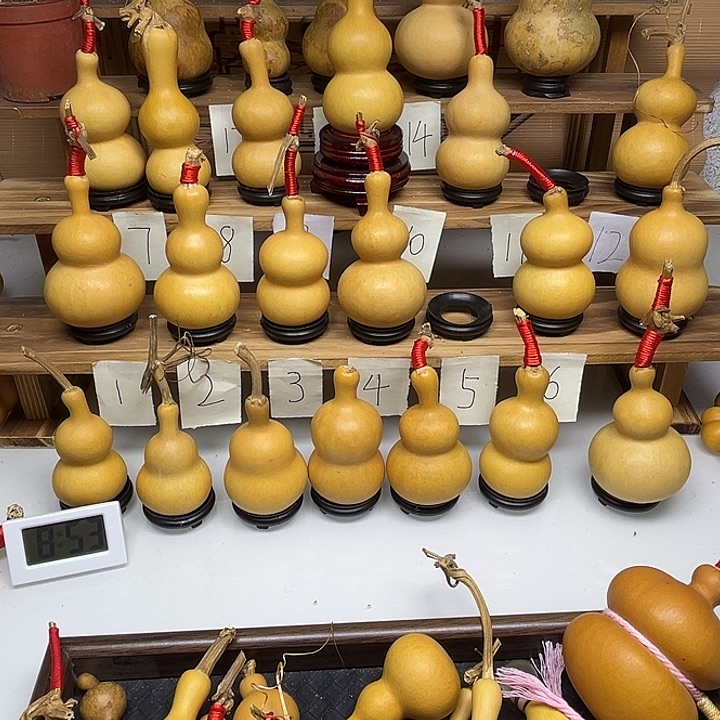 志***国啦啦啦啦啦啦啦啦啦啦啦