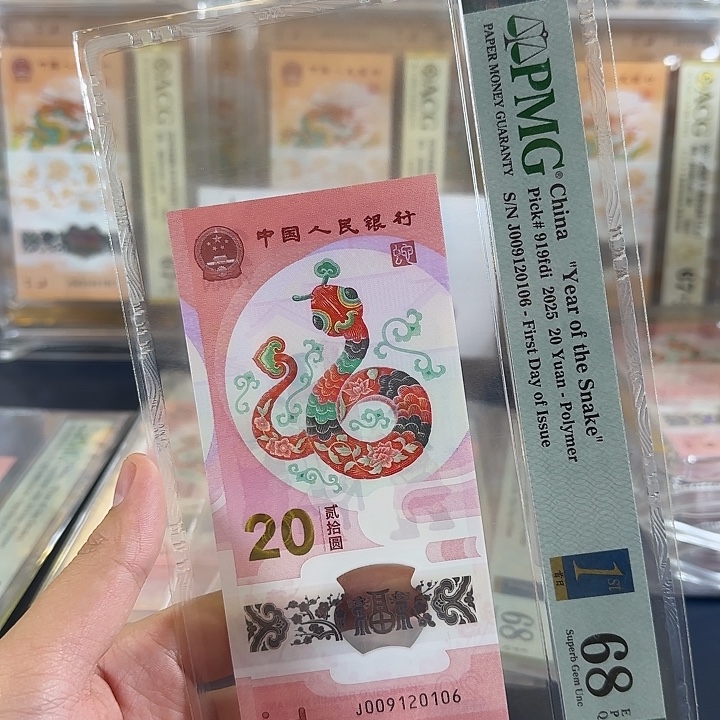 塑料蛇钞朦胧首日