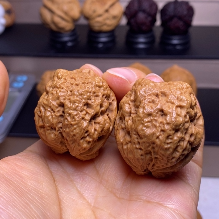 文玩核桃把件金蟾蛹69