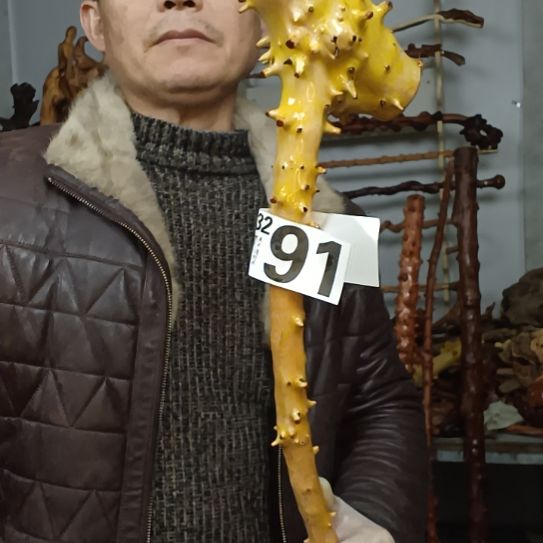 杯***约香榧木高山 檬子木文玩料