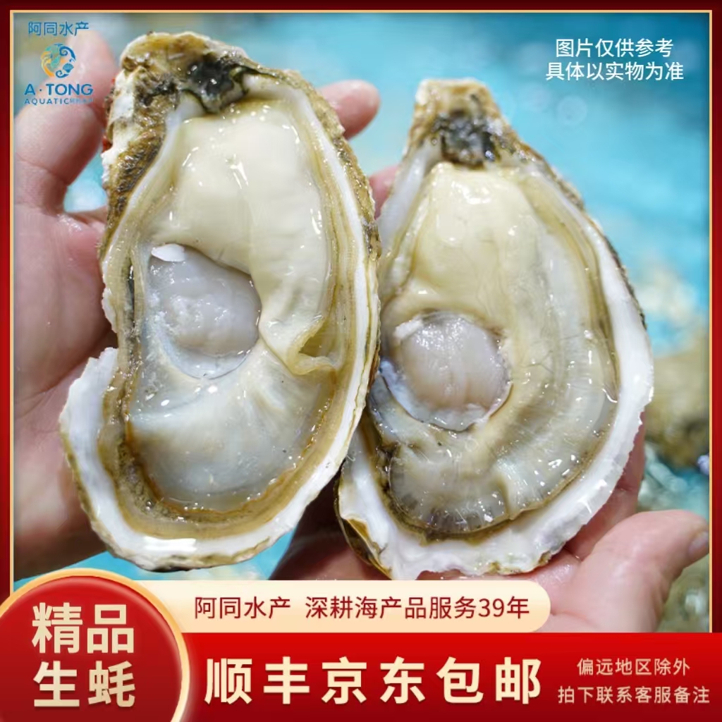 【阿同优选】精品生蚝肉质饱满鲜甜0.4-0.5斤/个仅福建省内可拍
