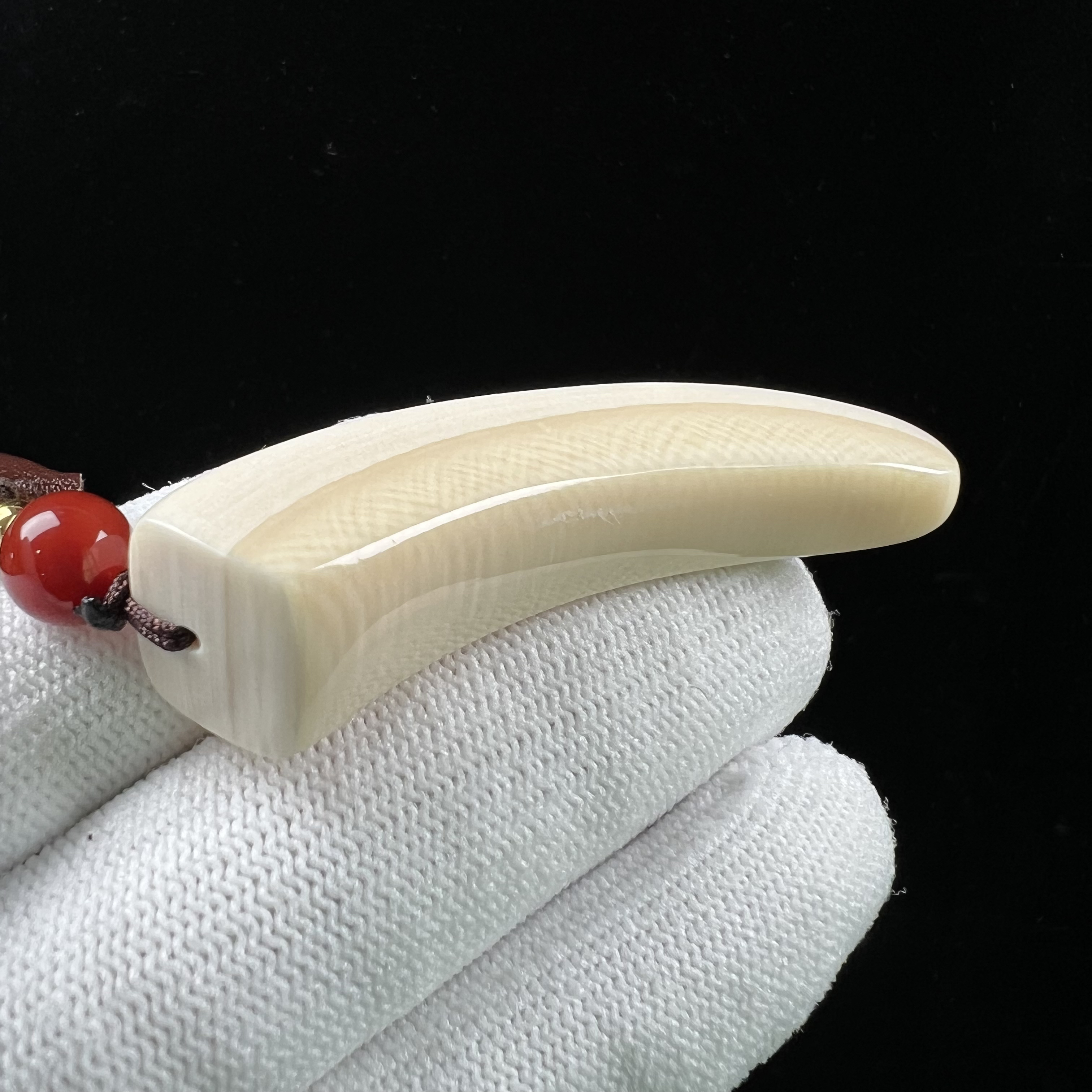 D3742天然猛犸牙 牙尖 60mm支持鉴定 假一罚四