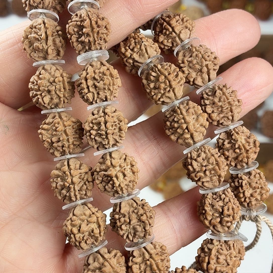 金刚菩提吊坠原生态精品稀有小鱼骨