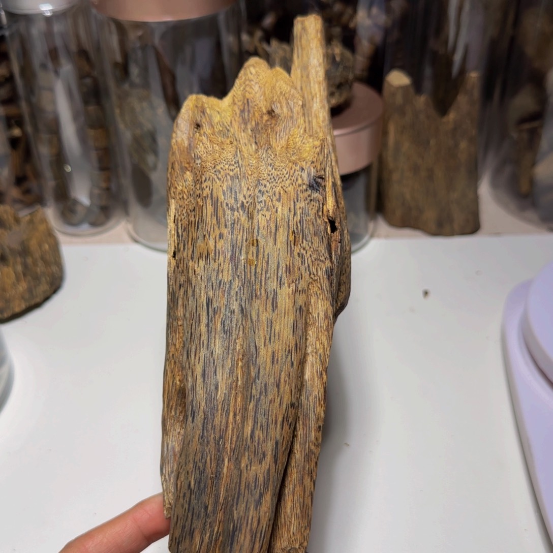 沉香摆件沉香奇楠白棋178克老料