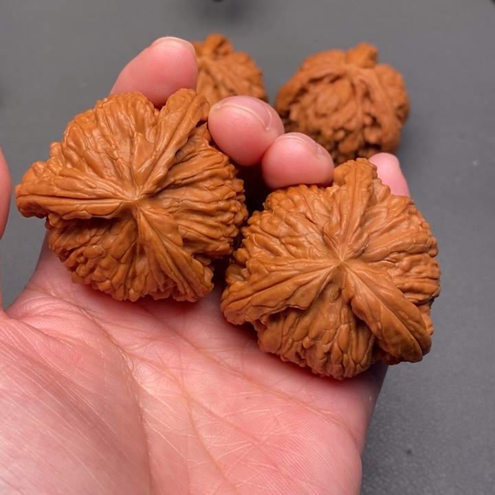 超***木质类核桃核桃核桃