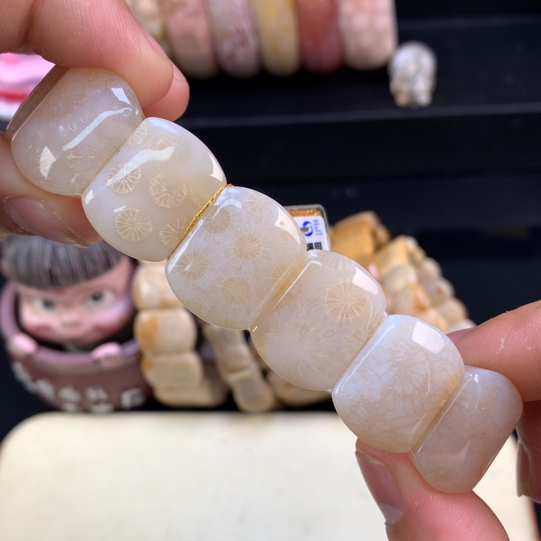 硅化珊瑚（珊瑚玉）未镶嵌颈饰7号白冰