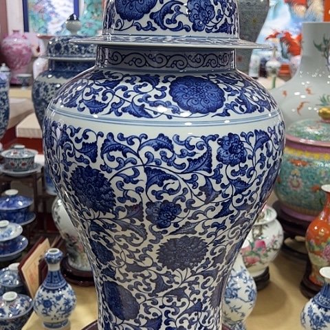 瓷片鲍*燕确保品质一个