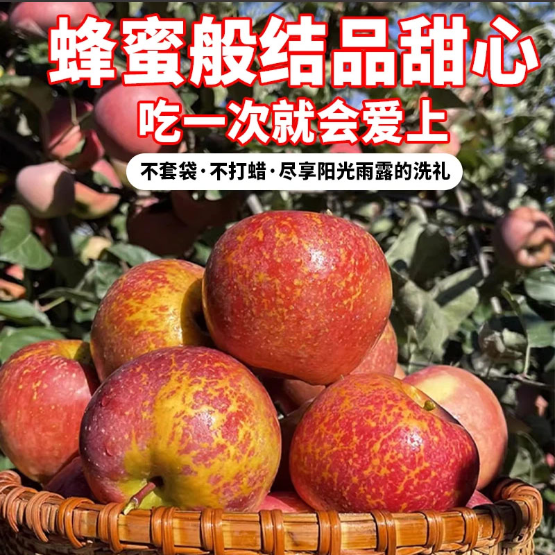 昭通冰糖心丑苹果云南昭通红露丑苹果新鲜水果产地直发