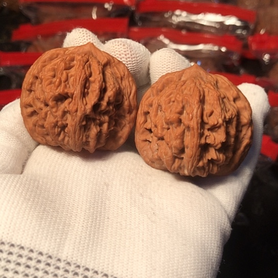 文玩核桃把件至尊虎42