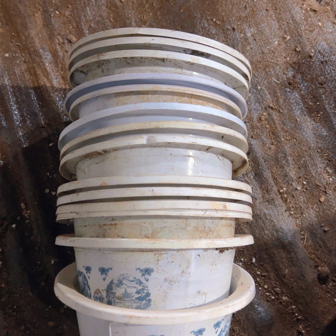 塑料富贵花开17.5口径处理 14个