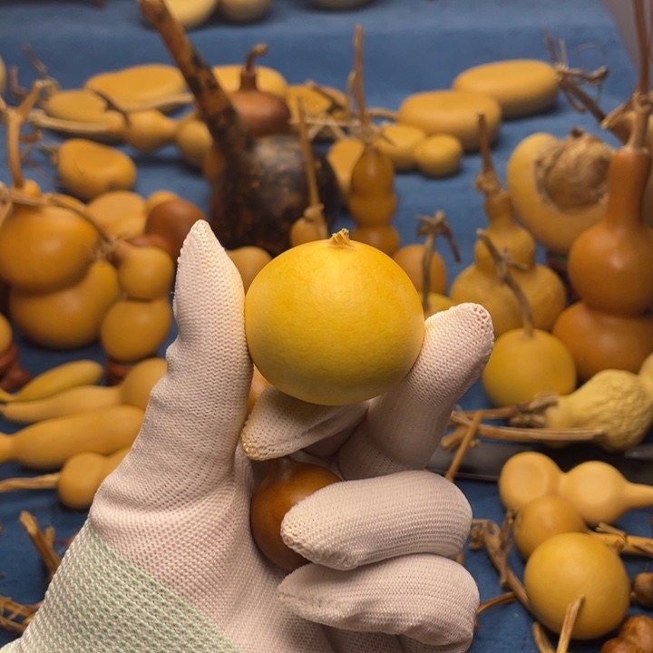 葫芦G**࿐哈哈哈哈哈哈哈哈哈葫芦