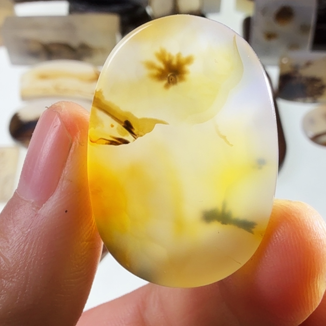 玛瑙/玉髓未镶嵌珠宝半成品