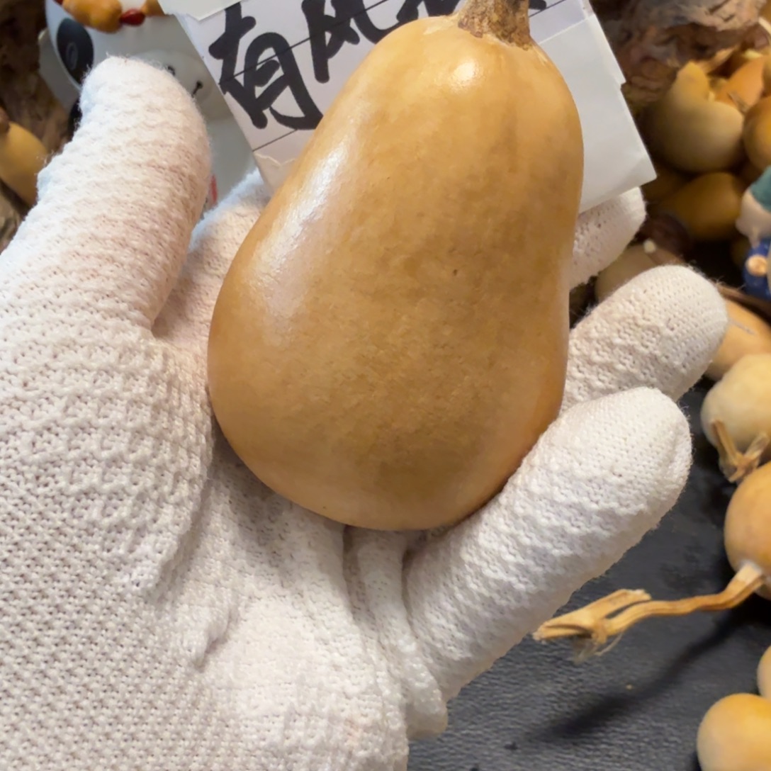 甜***鸡6666667666666666