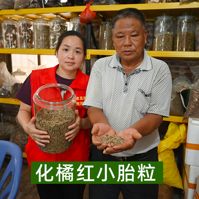 【2010年陈化橘红小胎柑珠】小米粒珠子55年老树化州橘红胎珠泡水茶