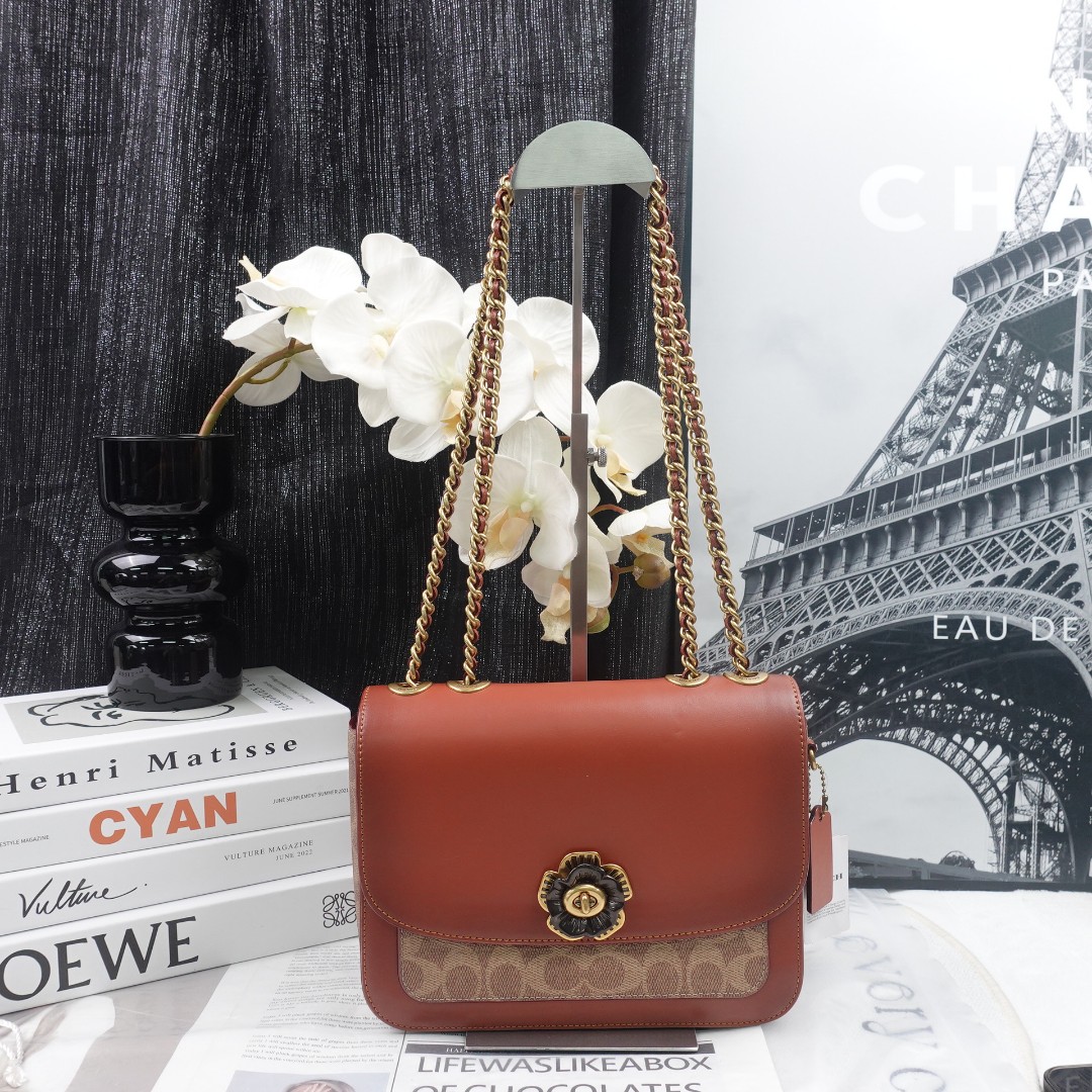 95新 COACH/蔻驰 单肩包/T20215179