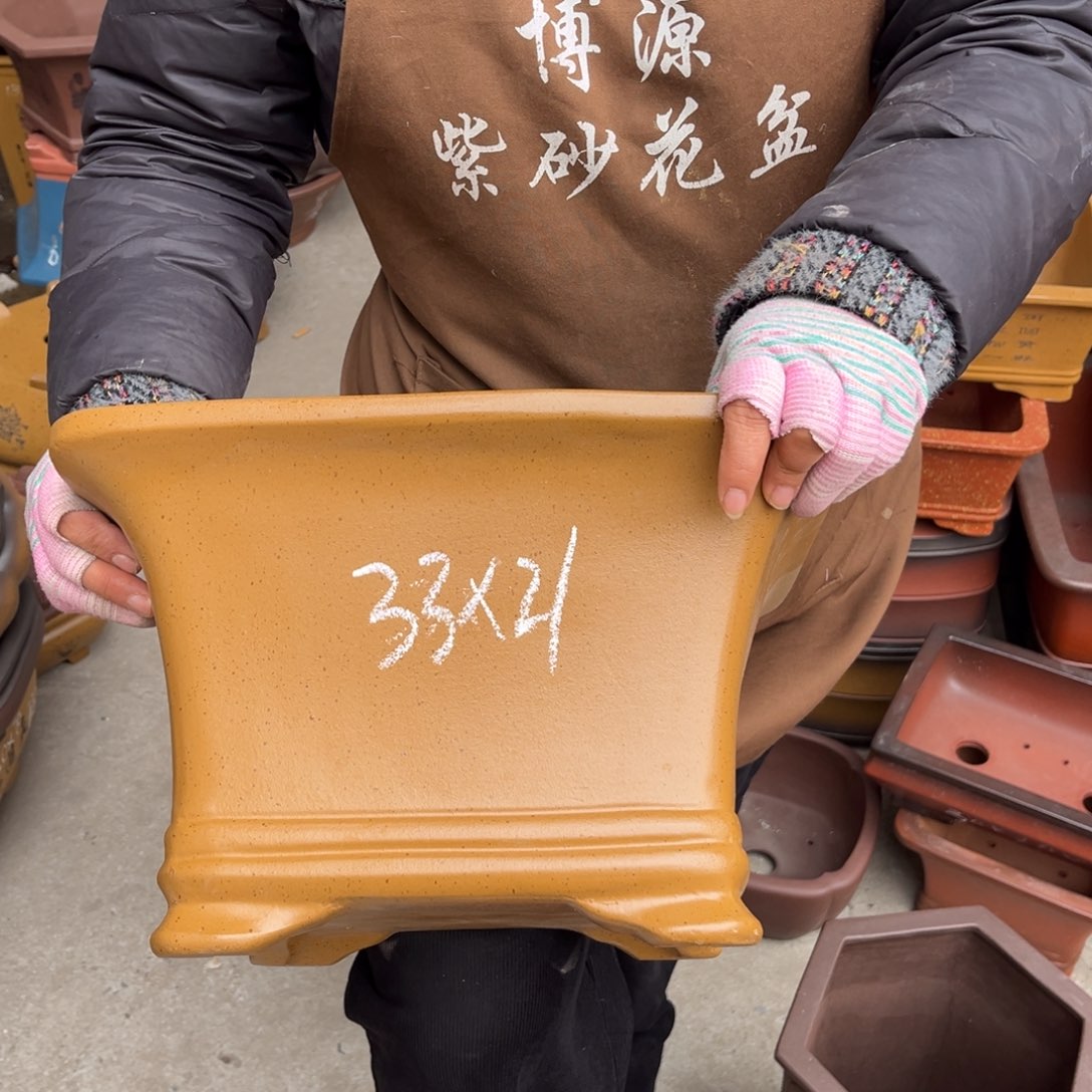 花盆紫砂盆景艺术