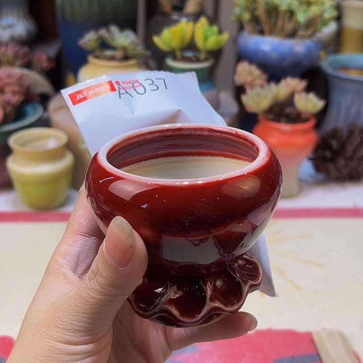 景德镇陶瓷研究所