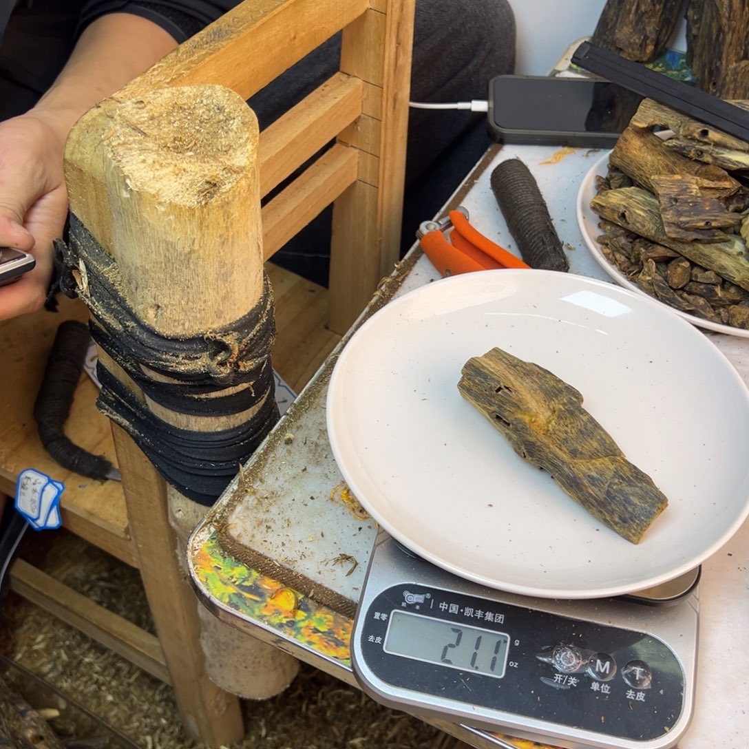 线香奇楠虫漏香21克