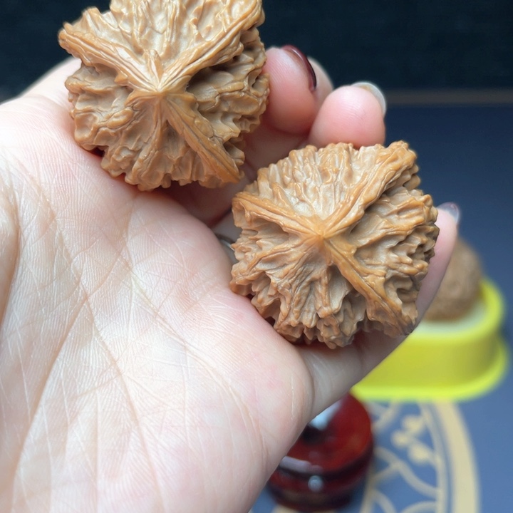 文玩核桃把件38野生三棱