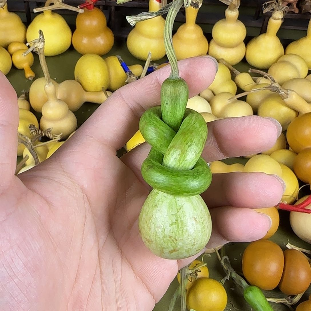 哈***，sjsjssnsnsnsnsbsb