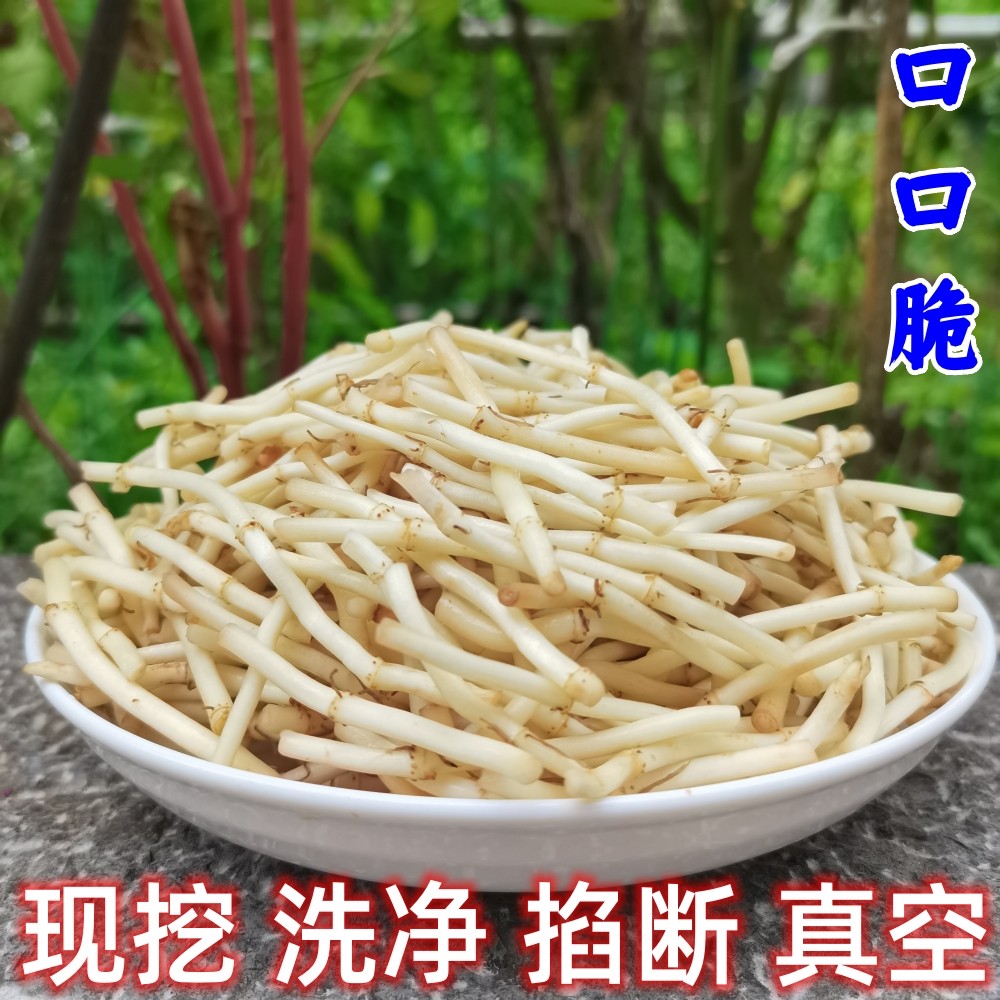 贵州新鲜现挖鱼腥草折耳根本地特产嫩根凉拌蔬菜洗净掐断真空发货