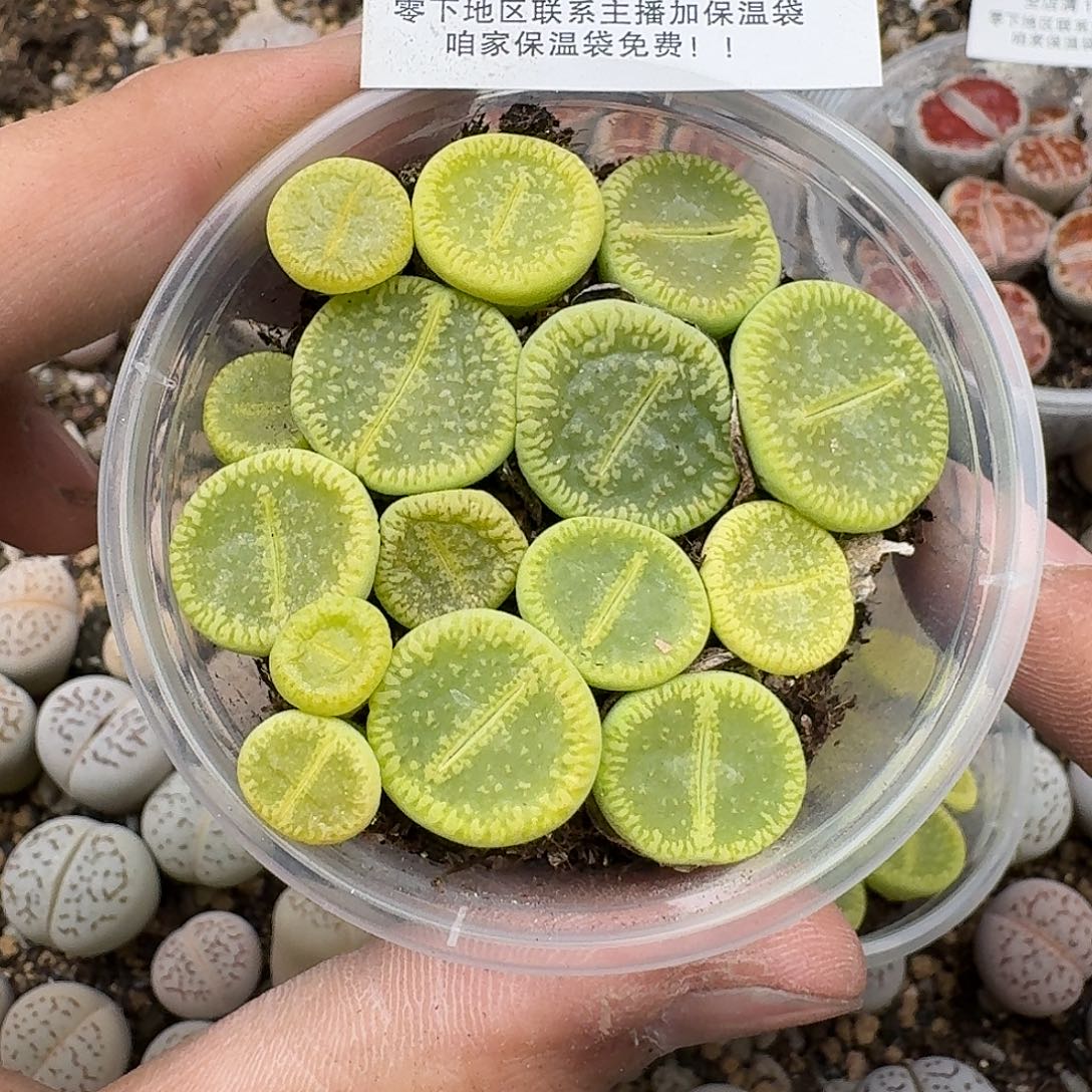 2951满18包邮 保温袋联系客服