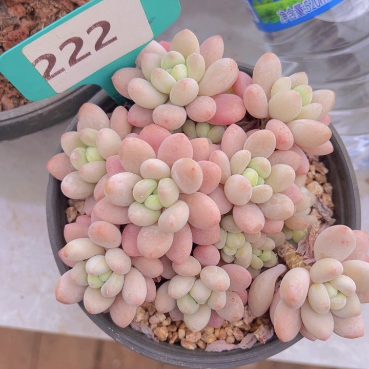 健健康康平平安安