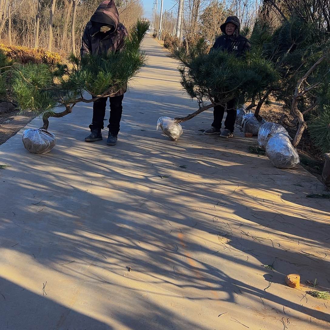 馨****爸88888888888888888