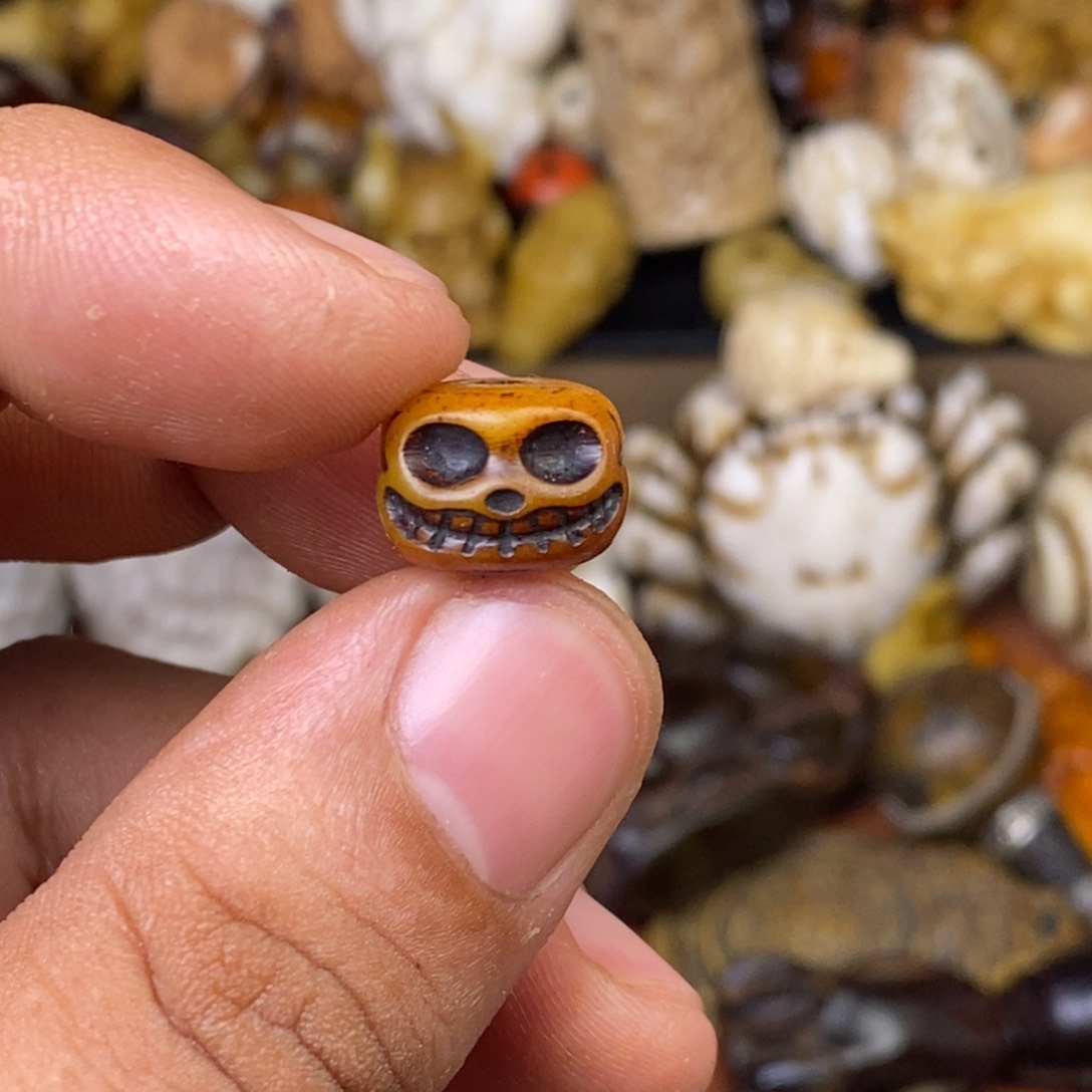 其他驼骨人龙样子