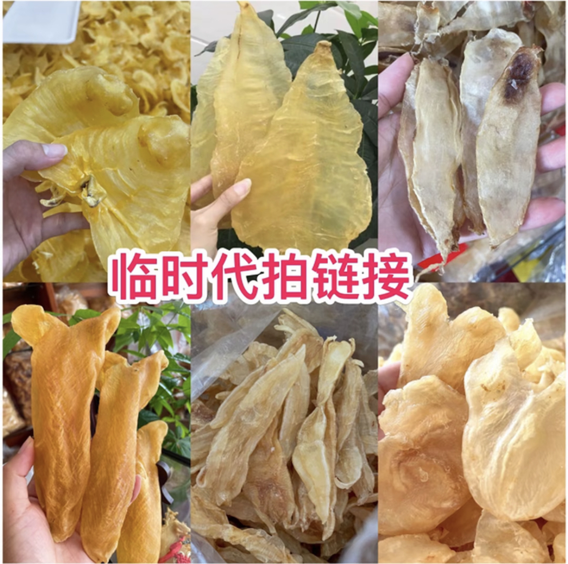 花胶系列 花胶鱼胶 干货链接 称重1-500克