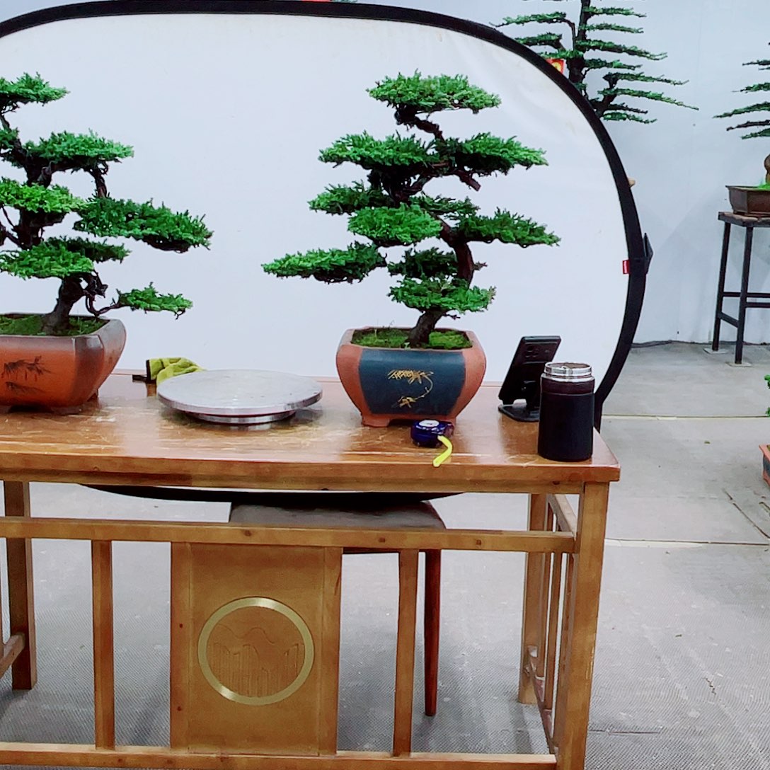 无花朵直播间一物一拍