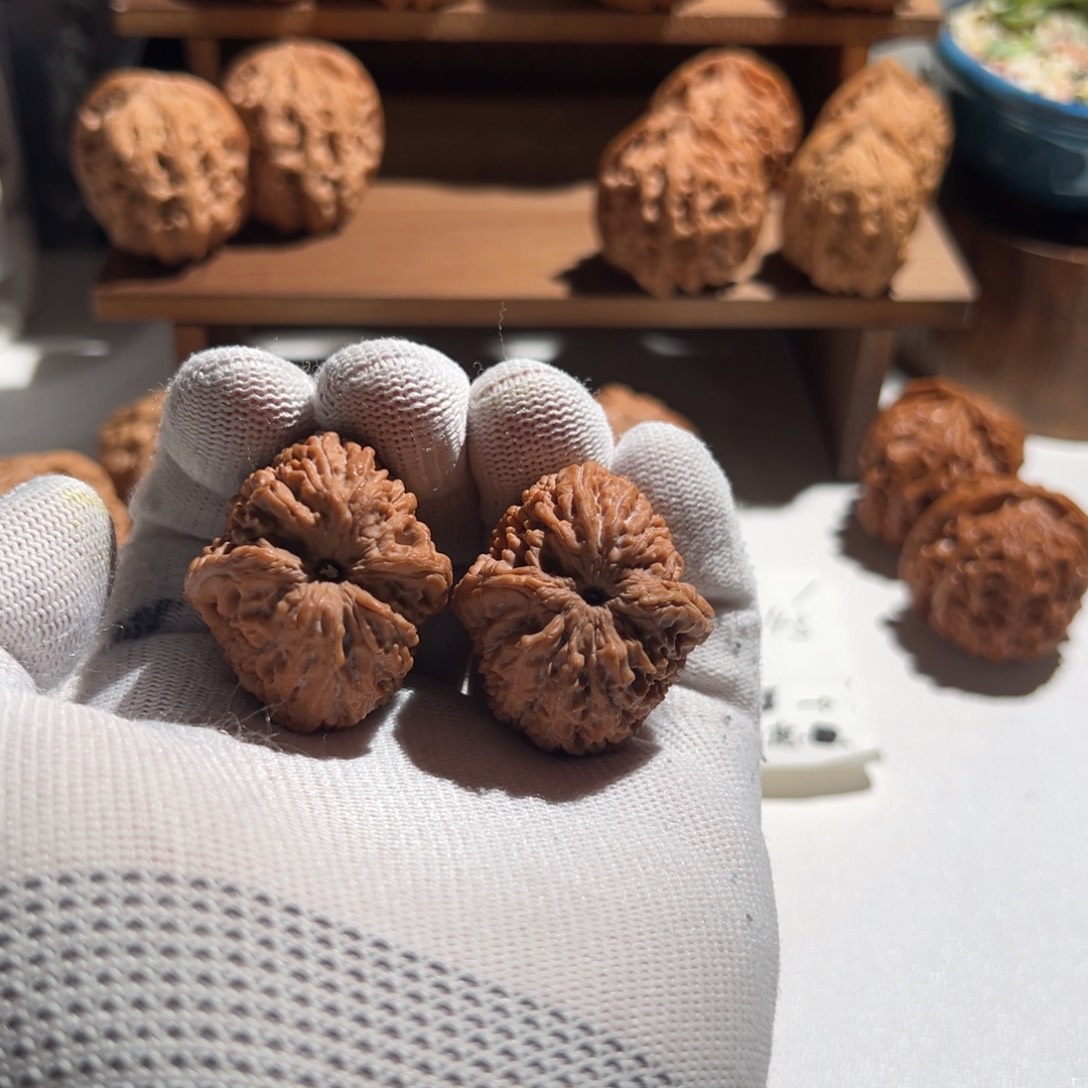 0***1核桃全品无修 33 大蒜头 红红红皮