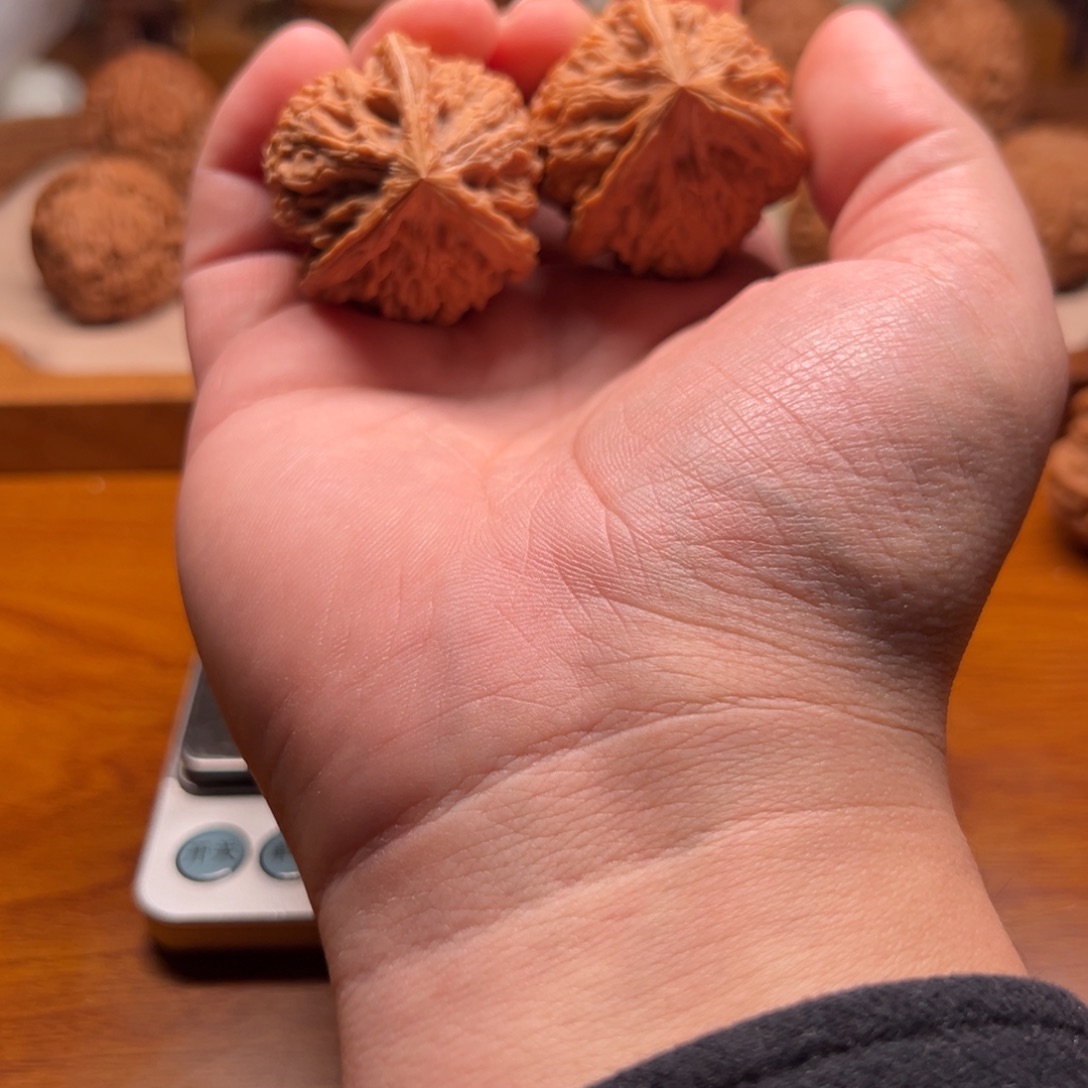 孙***磁修饰文山三棱正奔