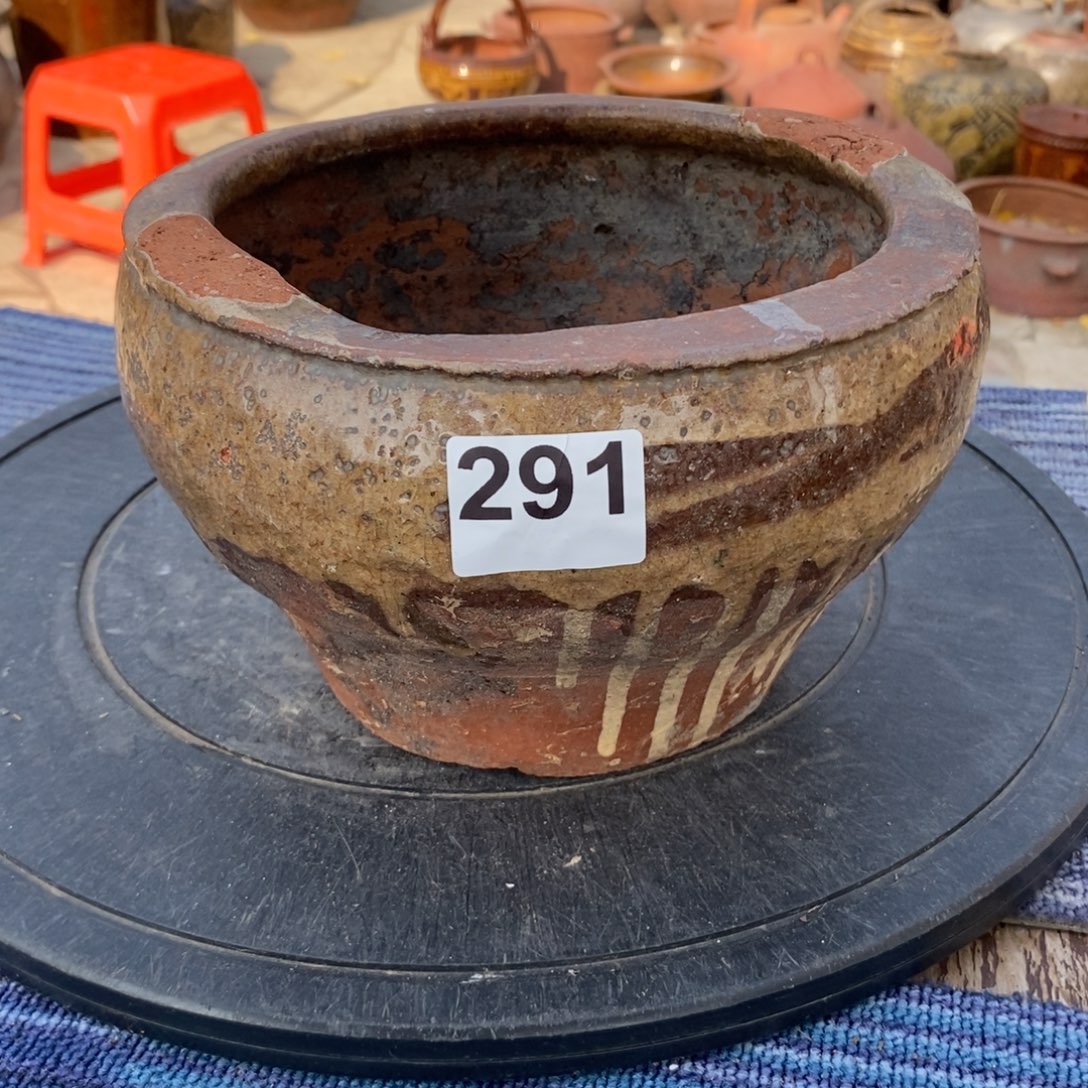 s***y罐养花养花养花养草养花