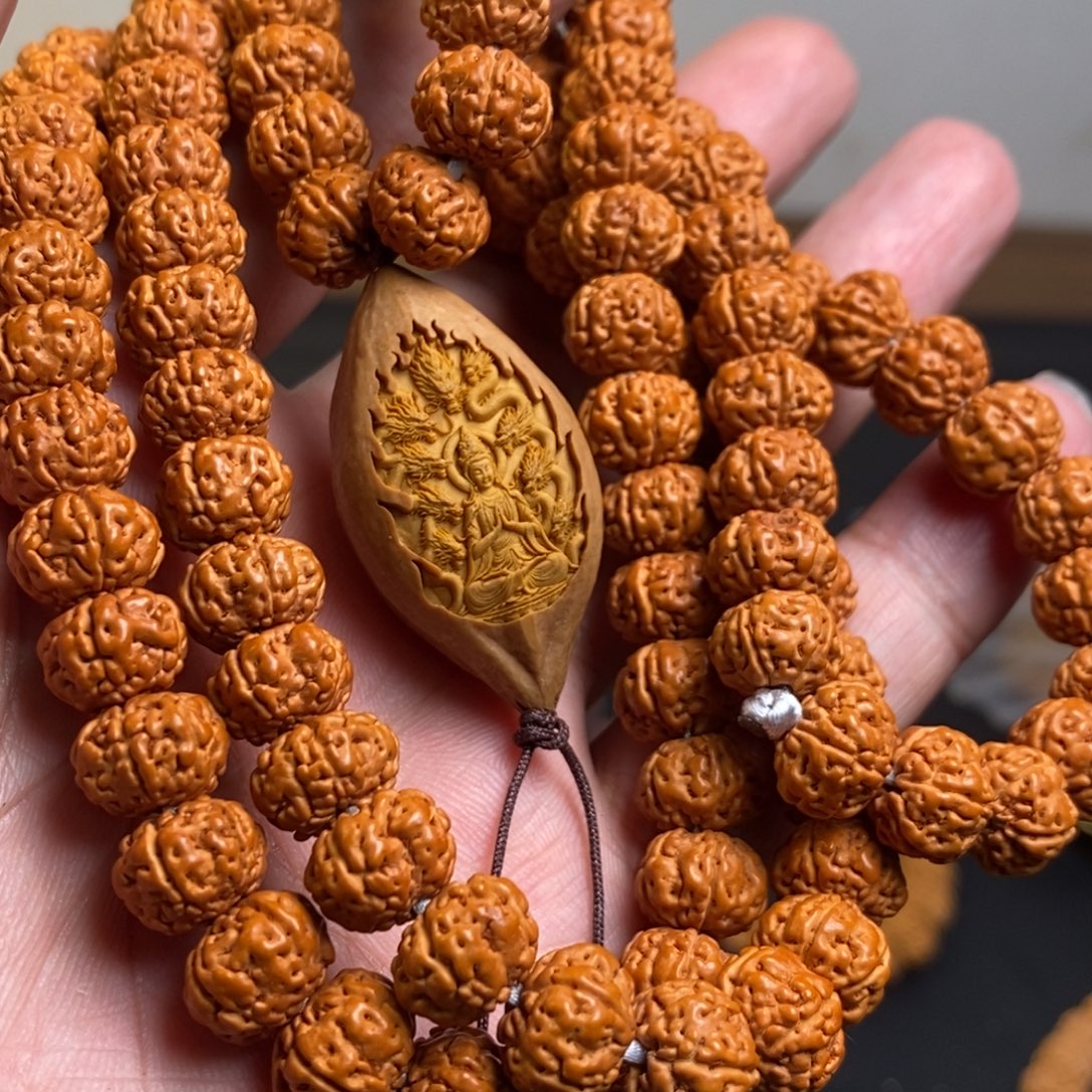 吊坠猴头核桃金刚