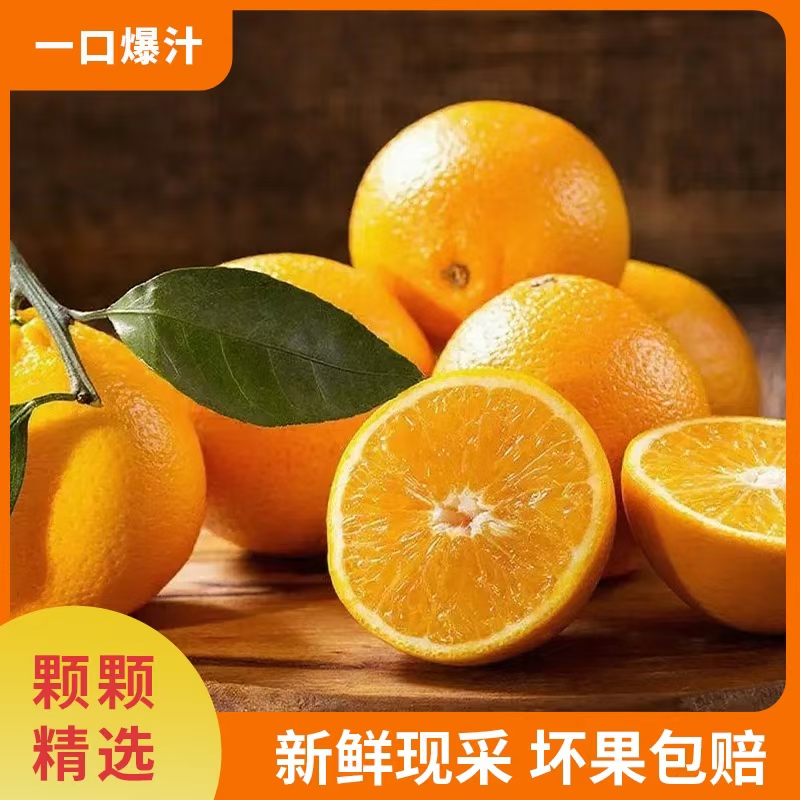 福建正宗脐橙 （新鲜采摘 7分甜3分酸 放2 3天会更甜）