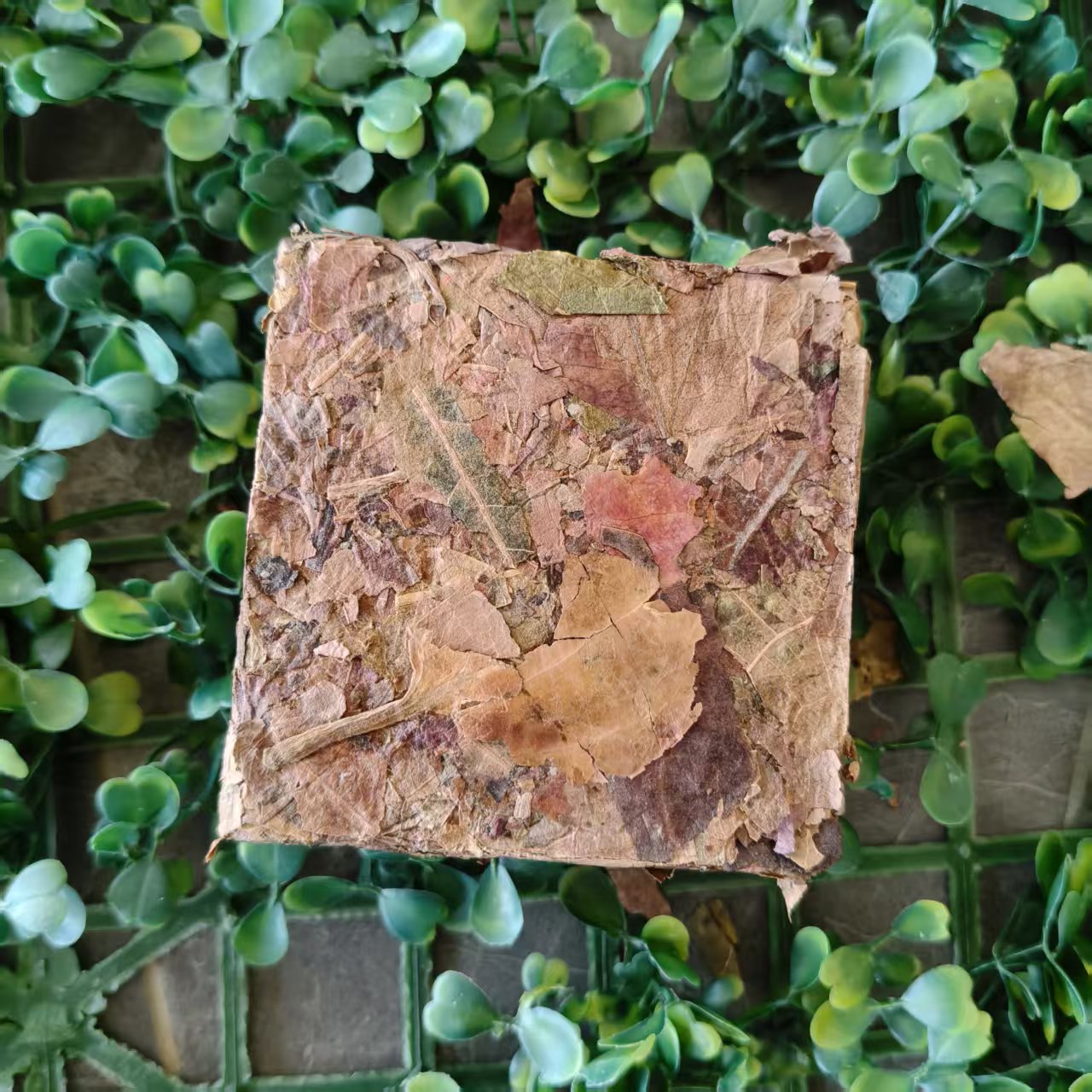 雨腾妹夫   "太S忘Q"菩T师Z仙W叶”渡WJ 天J 人J 地J"200g/砖