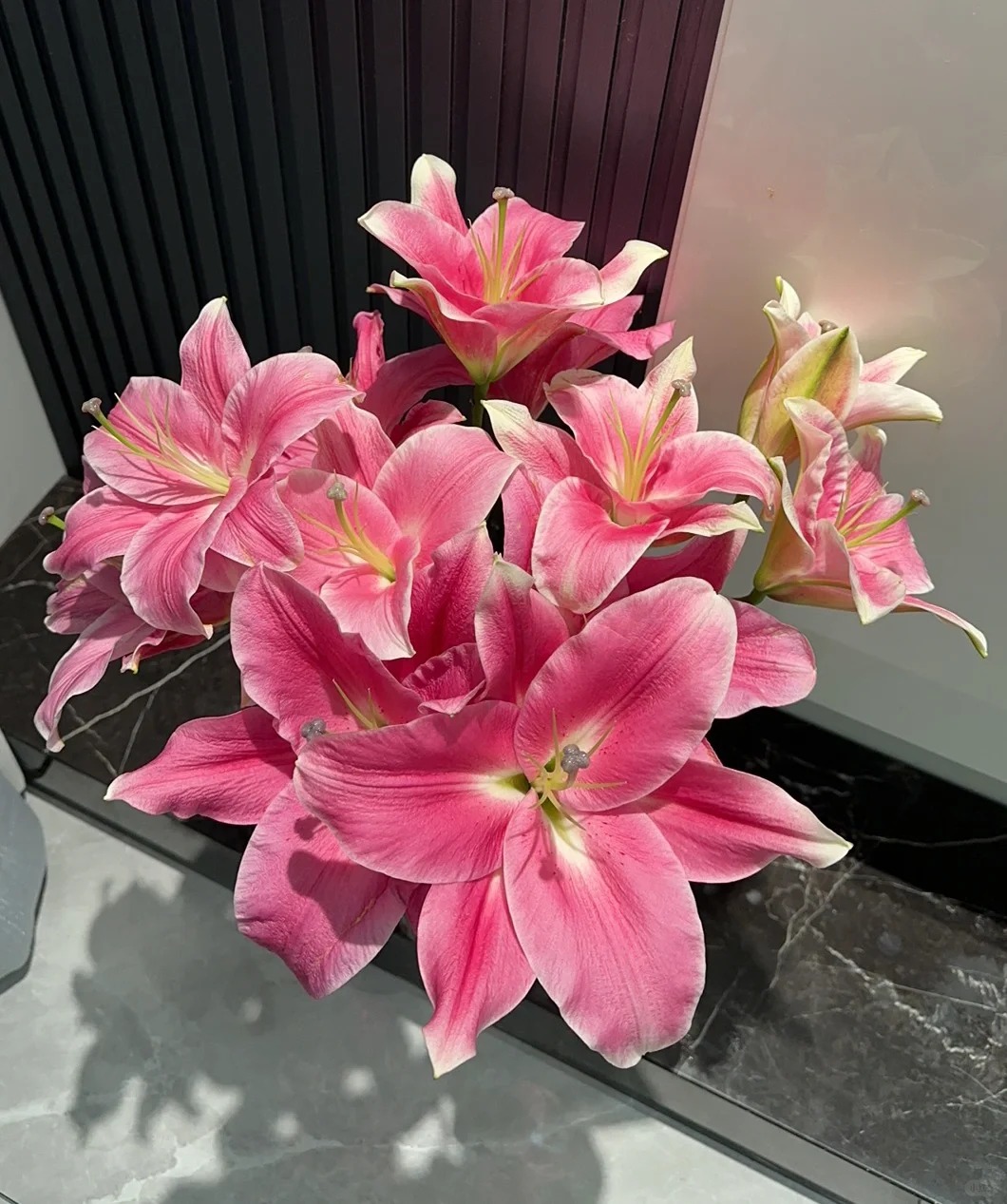 【花王朝】护卫舰香水百合 任意2单升级快递 元旦福利