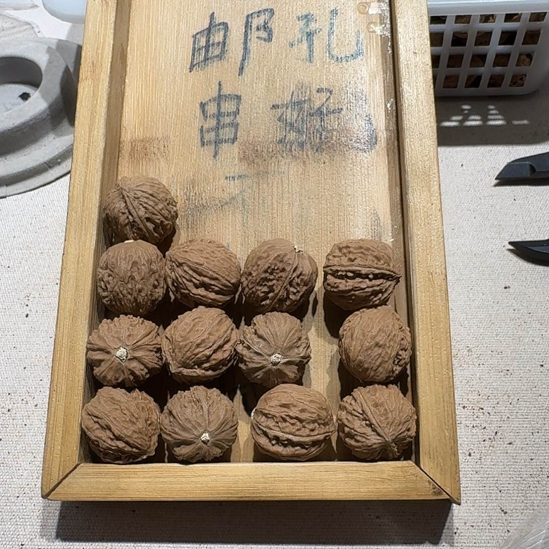 核桃手串/手链33号边21手串