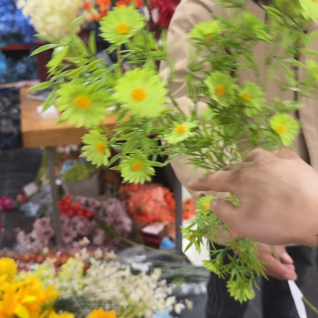 绿色小雏菊10枝装