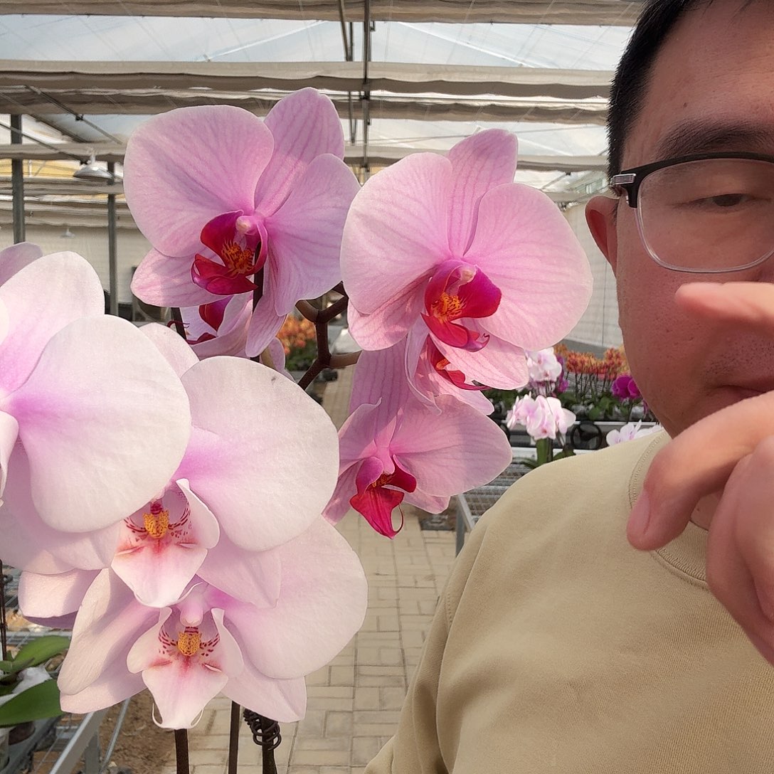 柳***度完全开放华盛顿➕阿尔提亚023