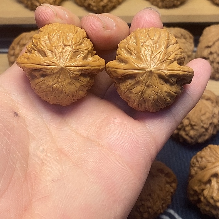 核桃39铁锤妹妹福利