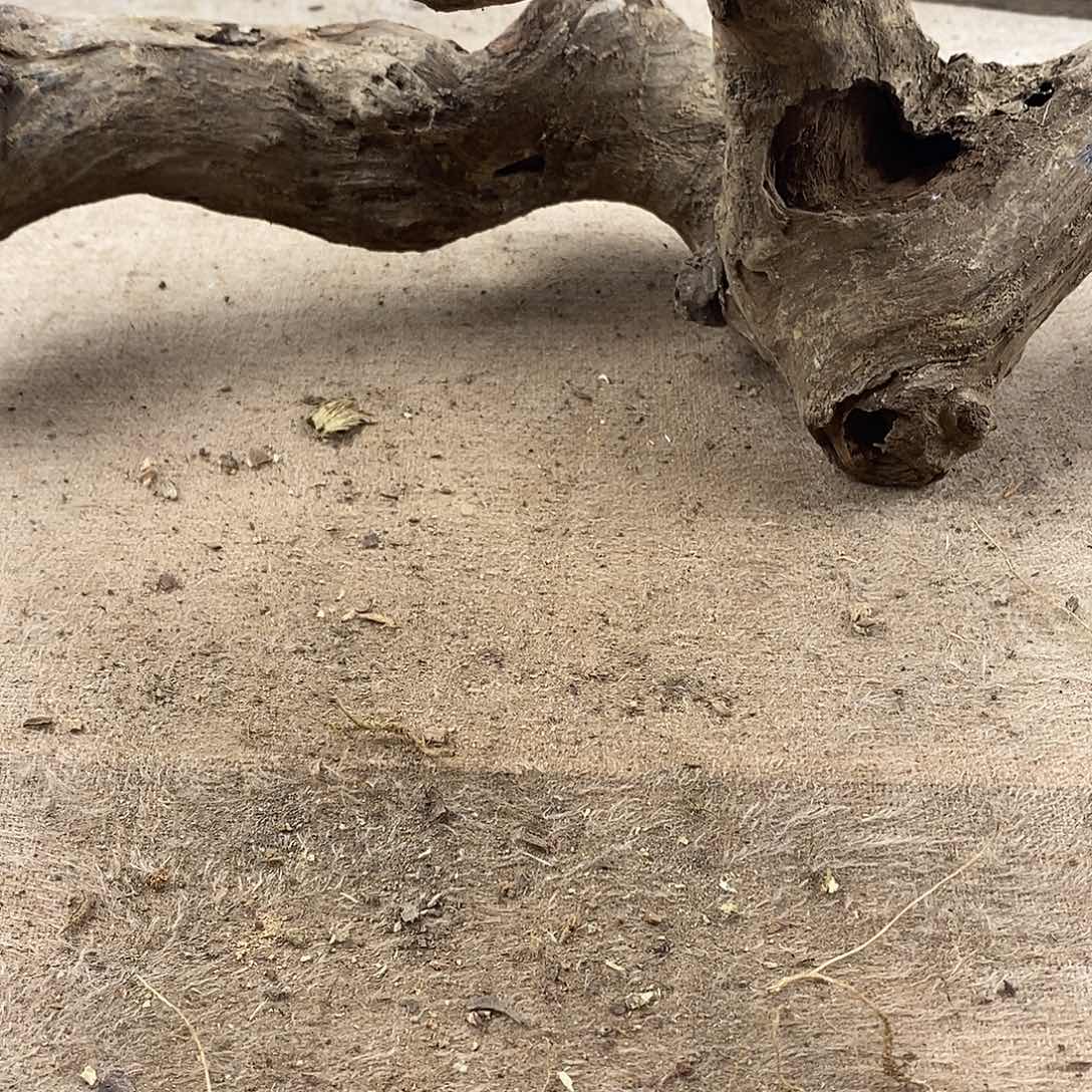 木手*黄花梨随形料子