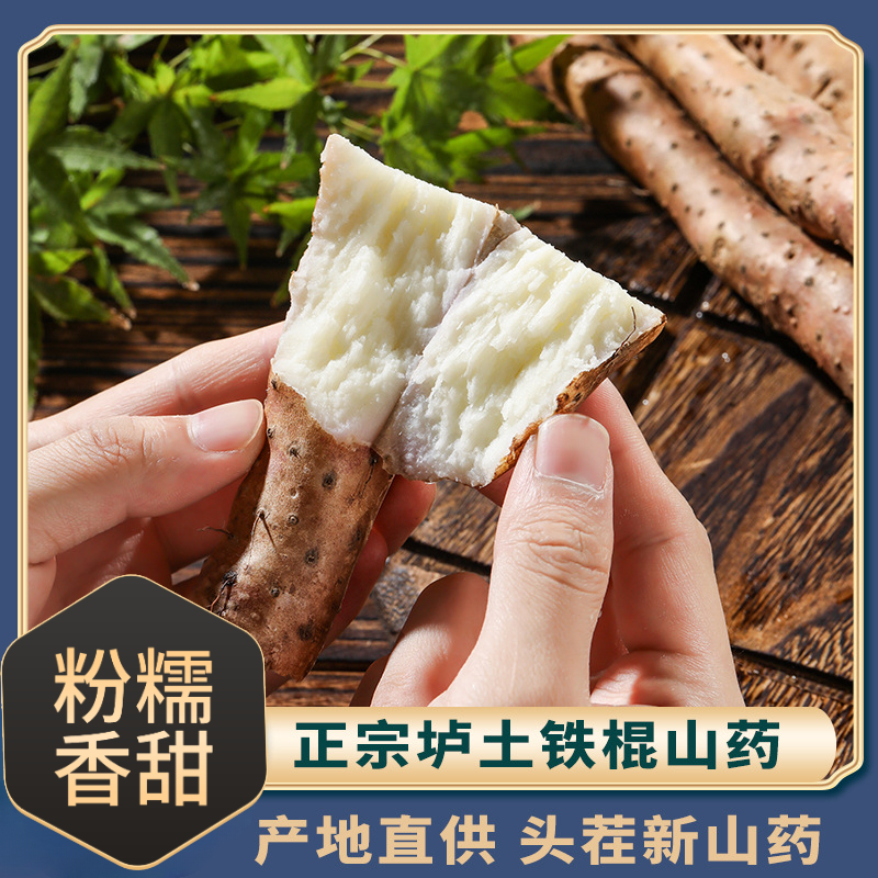 山药铁棍山药温县垆土山药焦作怀山药新鲜现挖产地直发